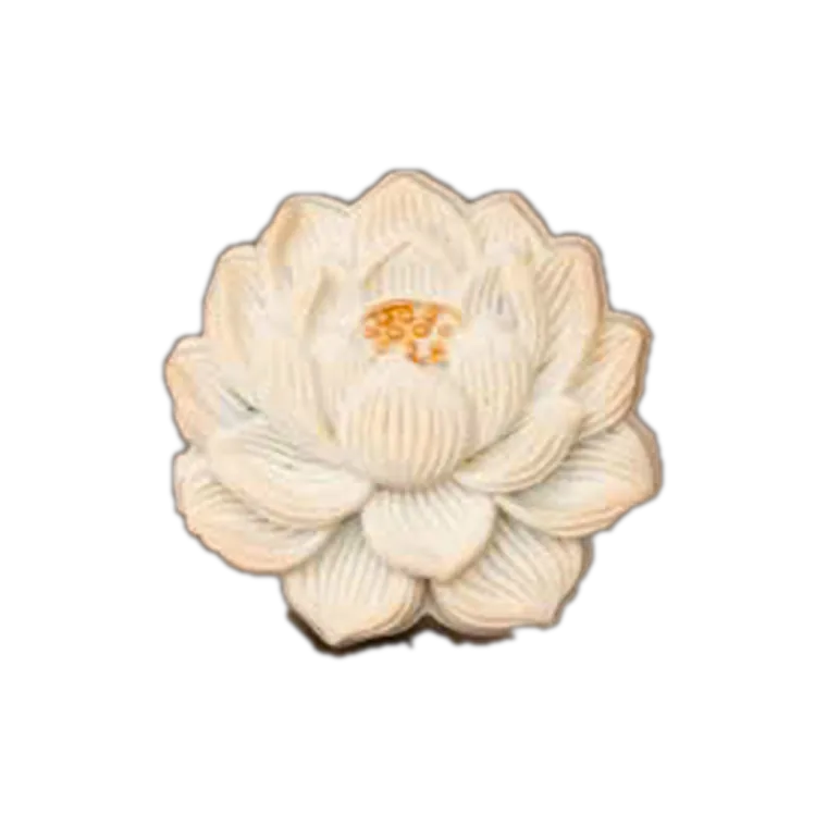 Sen Vàng